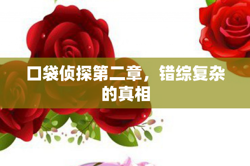 口袋侦探第二章,错综复杂的真相 口袋侦探第二章,错综复杂的真相