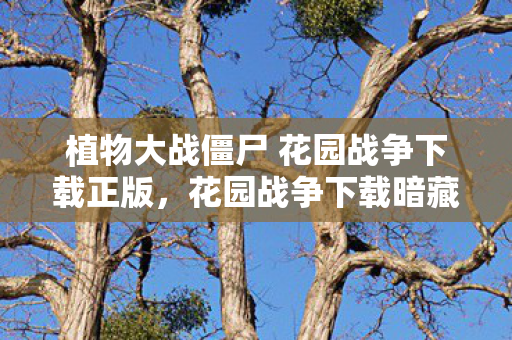 植物大战僵尸 花园战争下载正版图片