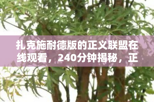 扎克施耐德版的正义联盟在线观看图片