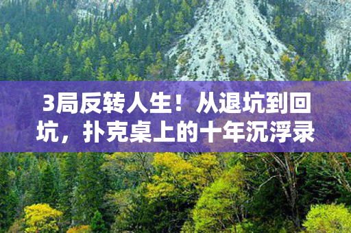 扑克桌上的十年沉浮录图片
