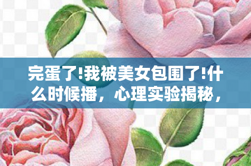 我被美女包围了图片