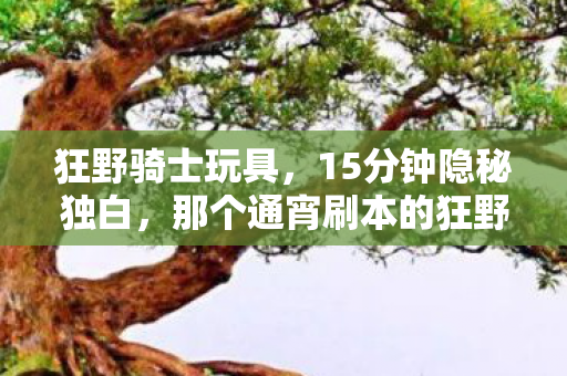 那个通宵刷本的狂野骑士图片