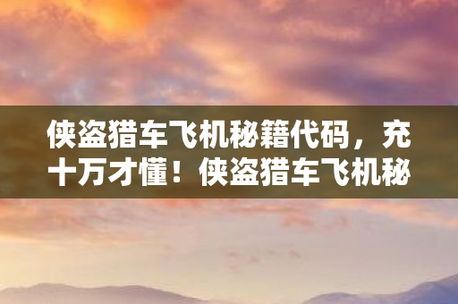 侠盗猎车飞机秘籍竟是氪金黑洞图片