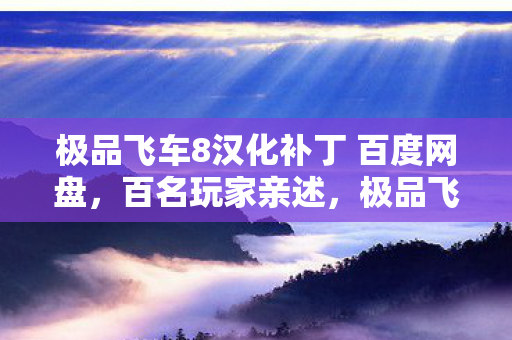 极品飞车8汉化补丁 百度网盘图片