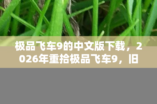 2026年重拾极品飞车9图片