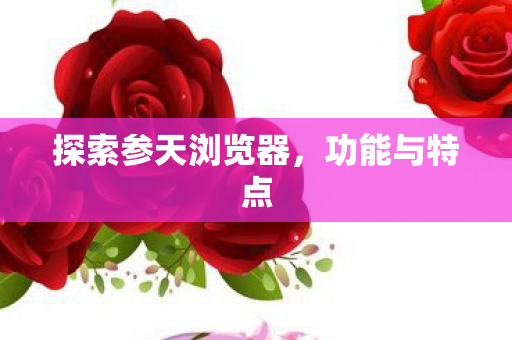 探索参天浏览器,功能与特点 探索参天浏览器,功能与特点