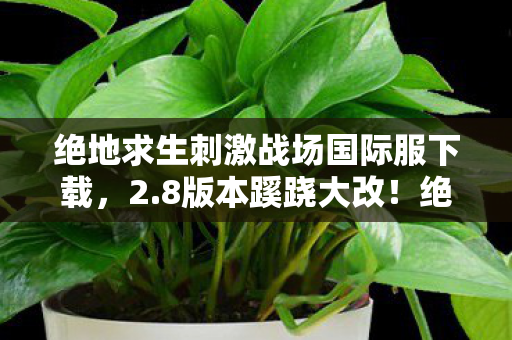 绝地求生刺激战场国际服下载图片