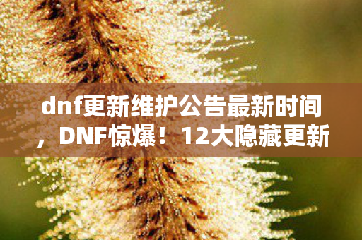 dnf更新维护公告最新时间图片