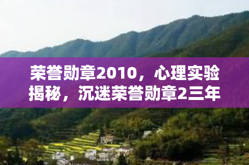 沉迷荣誉勋章2三年图片