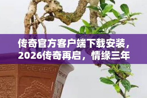传奇官方客户端下载安装图片