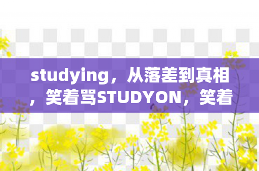 笑着骂STUDYON图片