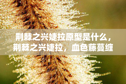 荆棘之兴婕拉原型是什么图片