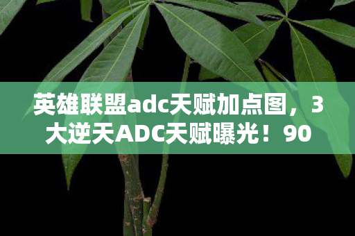 玩家不知道的暴击流终极密码竟是它图片