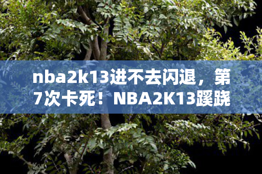 NBA2K13蹊跷崩溃背后图片