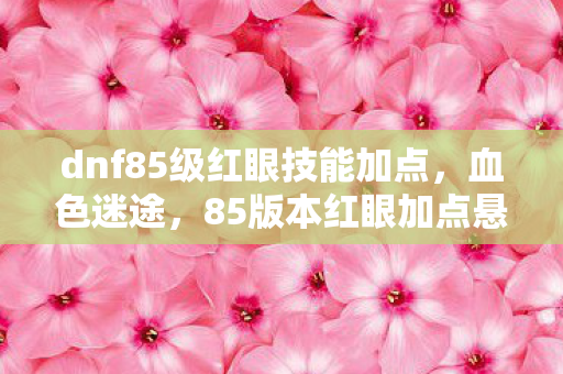 dnf85级红眼技能加点图片