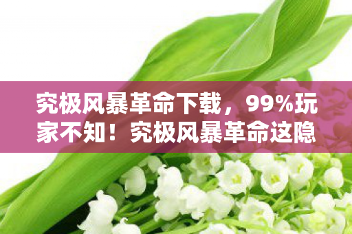 究极风暴革命这隐藏机制图片