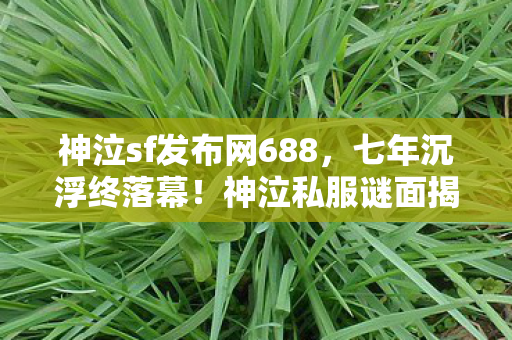 神泣sf发布网688图片