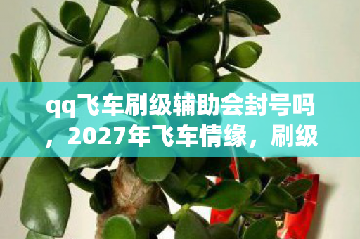 qq飞车刷级辅助会封号吗图片