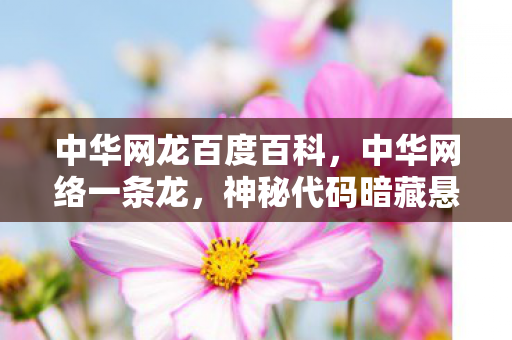 中华网龙百度百科图片