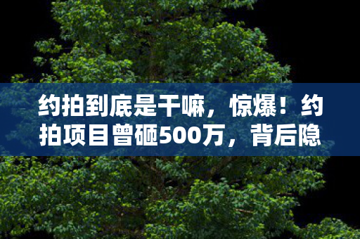 约拍项目曾砸500万图片