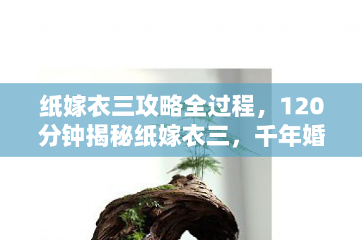 120分钟揭秘纸嫁衣三图片