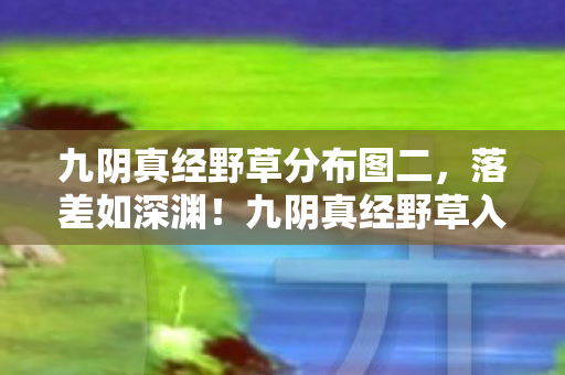 九阴真经野草入口X88真相揭晓图片