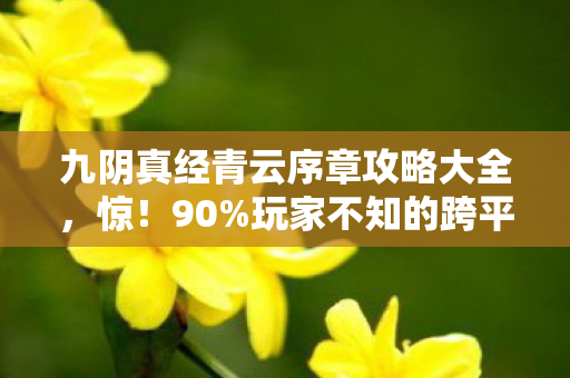 九阴真经青云序章攻略大全图片