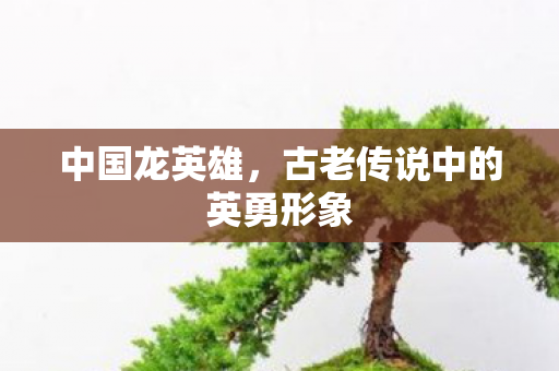 中国龙英雄,古老传说中的英勇形象 中国龙英雄,古老传说中的英勇形象