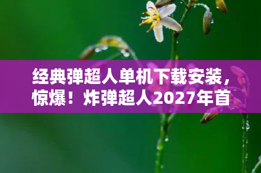 炸弹超人2027年首曝绝密技能图片