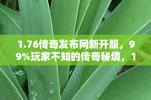 76传奇发布网新开服图片