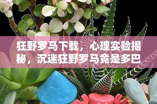 沉迷狂野罗马竟是多巴胺陷阱图片