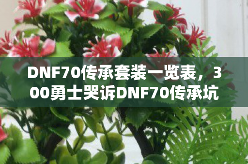 300勇士哭诉DNF70传承坑人图片