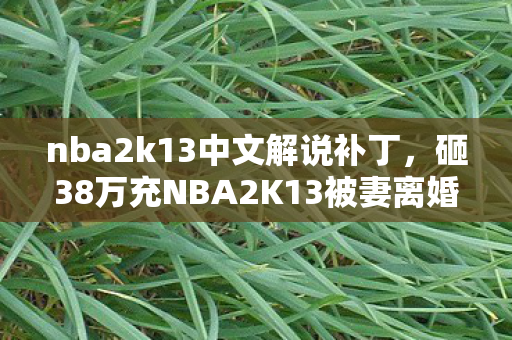 砸38万充NBA2K13被妻离婚图片