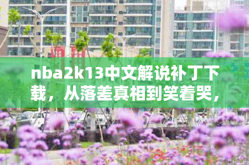 我戒不掉的NBA2K13中文补丁之殇图片