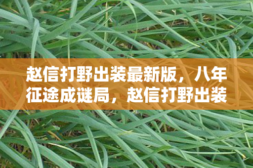 赵信打野出装最新版图片