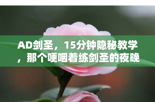 那个哽咽着练剑圣的夜晚图片