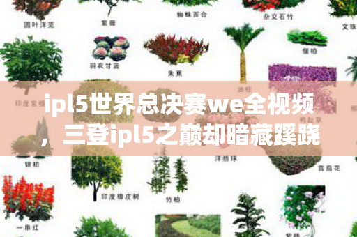 ipl5世界总决赛we全视频图片