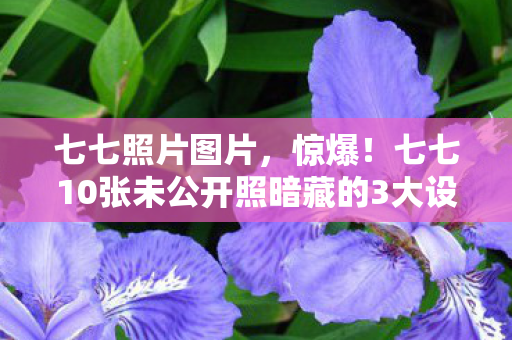 七七10张未公开照暗藏的3大设计玄机图片