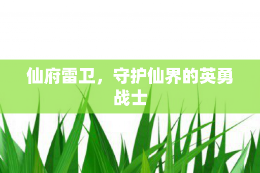 仙府雷卫，守护仙界的英勇战士