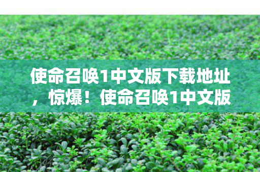 使命召唤1中文版背后竟藏着3个颠覆认知的秘密图片