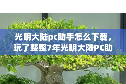 玩了整整7年光明大陆PC助手图片