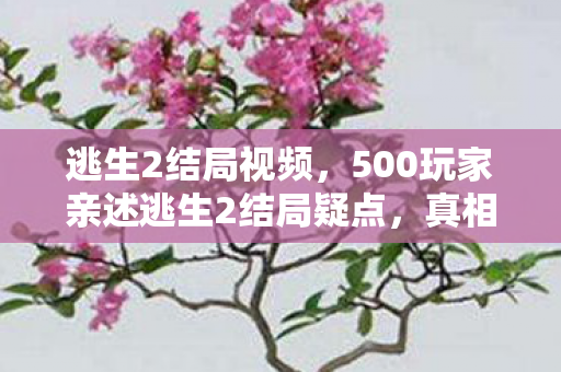 500玩家亲述逃生2结局疑点图片