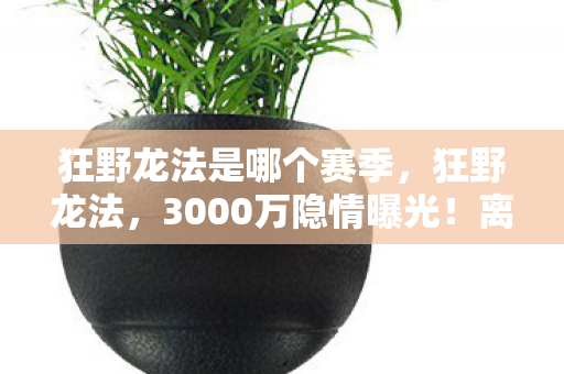狂野龙法是哪个赛季图片