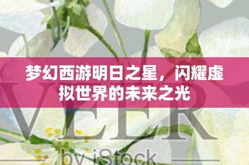 梦幻西游明日之星,闪耀虚拟世界的未来之光 梦幻西游明日之星,闪耀虚拟世界的未来之光