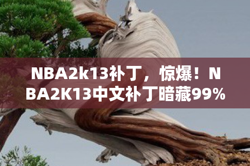 NBA2K13中文补丁暗藏99图片