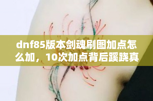 dnf85版本剑魂刷图加点怎么加图片