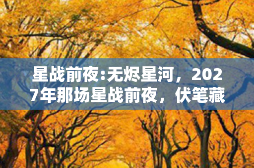 2027年那场星战前夜图片
