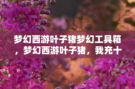 梦幻西游叶子猪梦幻工具箱图片
