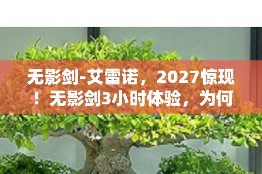 无影剑-艾雷诺，2027惊现！无影剑3小时体验，为何99%人哭着出来？