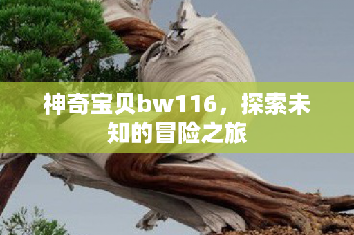 神奇宝贝bw116，探索未知的冒险之旅